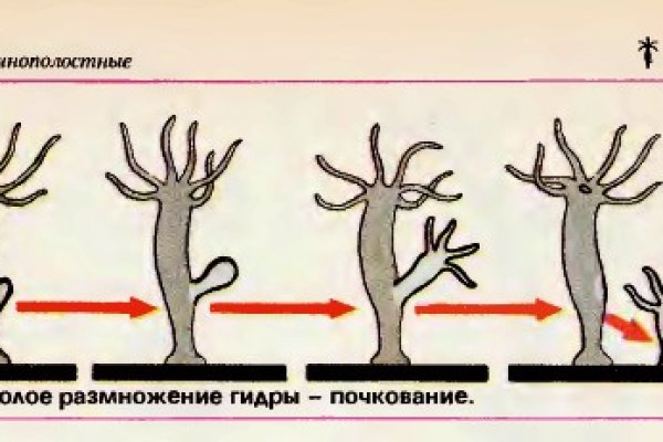 Кракен сайт даркнет