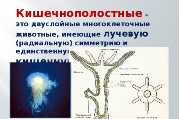 Как восстановить доступ к аккаунту кракен